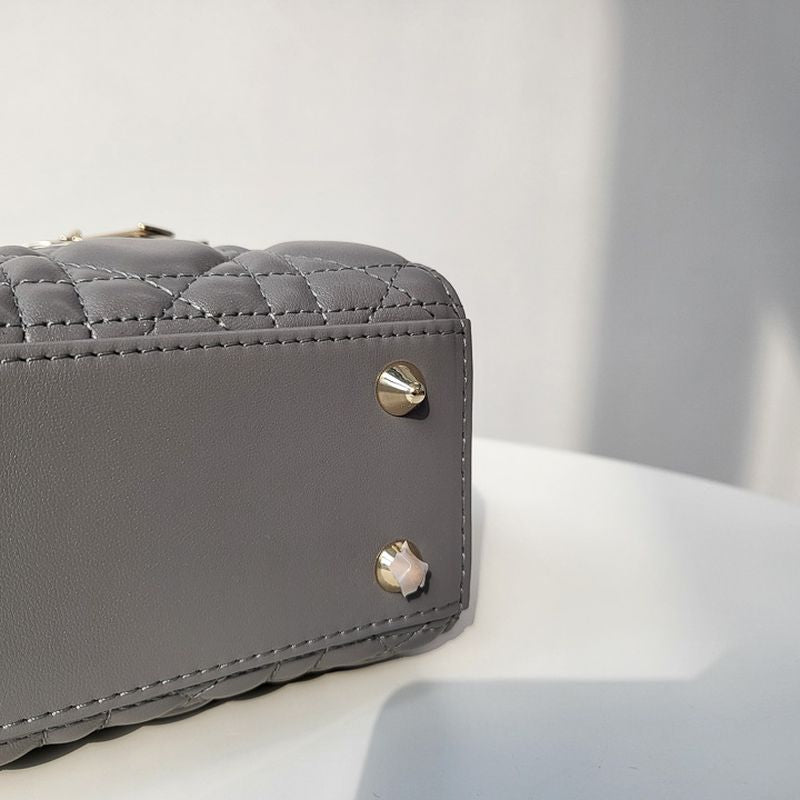 디올 레이디백 스몰