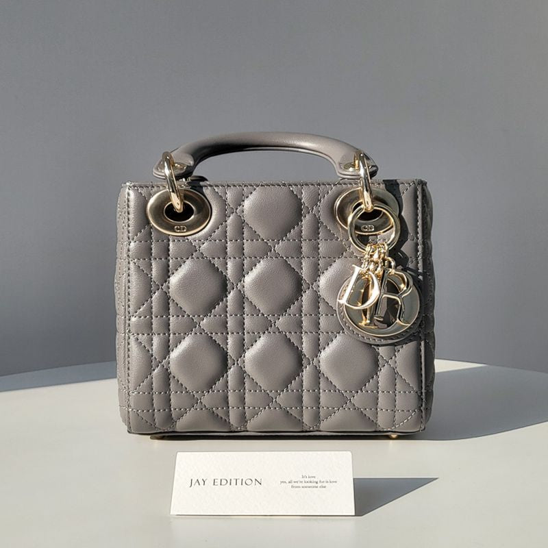 디올 레이디백 미니