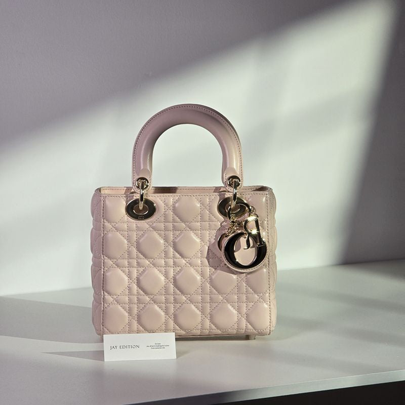 디올 레이디백 스몰