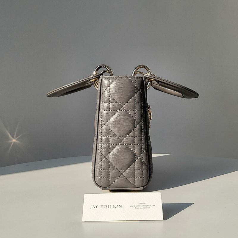 디올 레이디백 미니