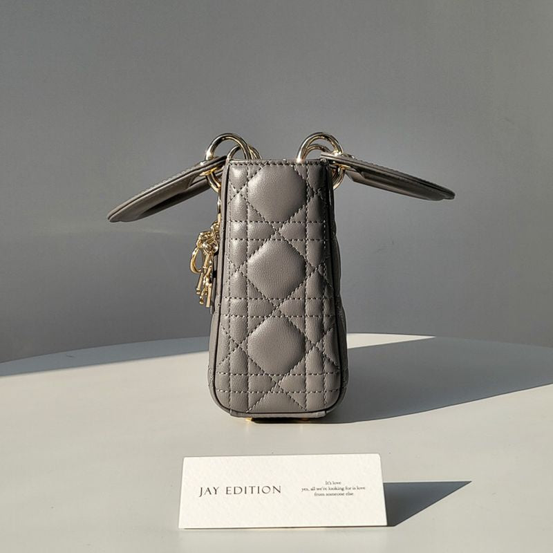 디올 레이디백 미니