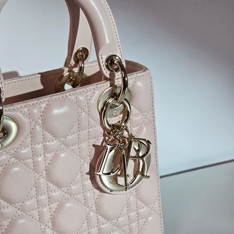 디올 레이디백 스몰