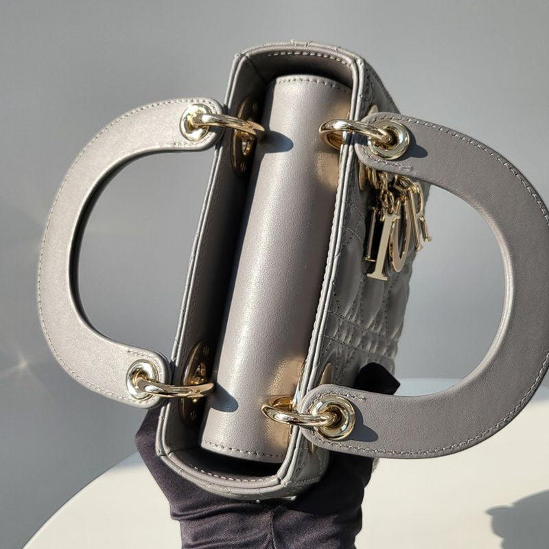 디올 레이디백 미니