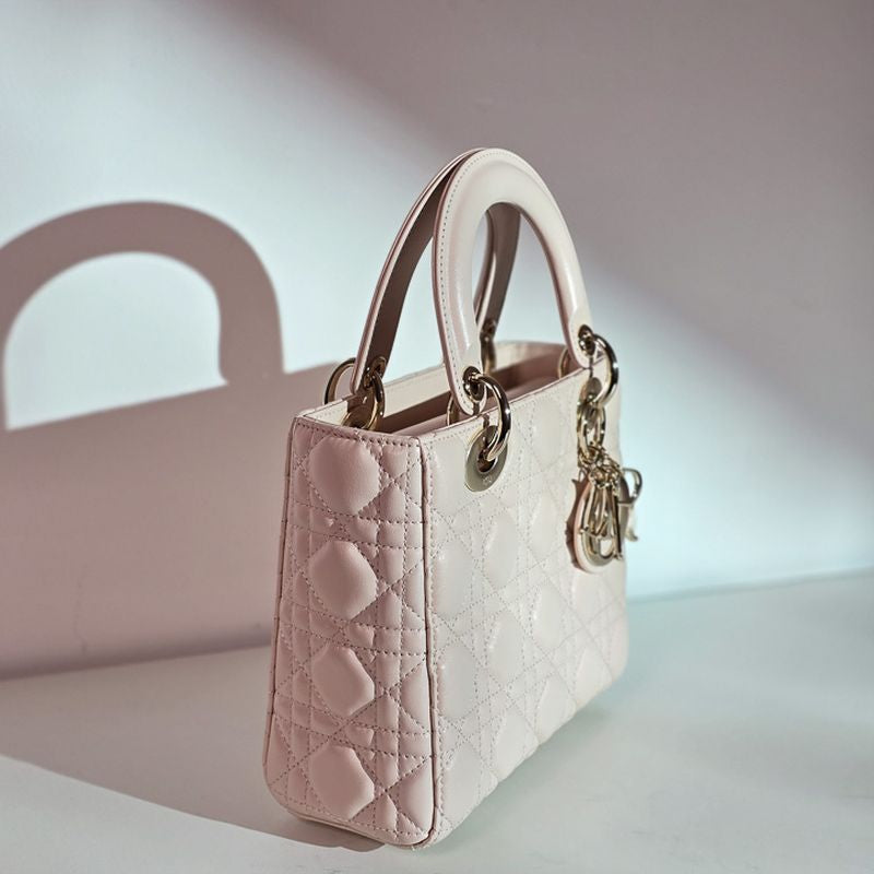 디올 레이디백 스몰