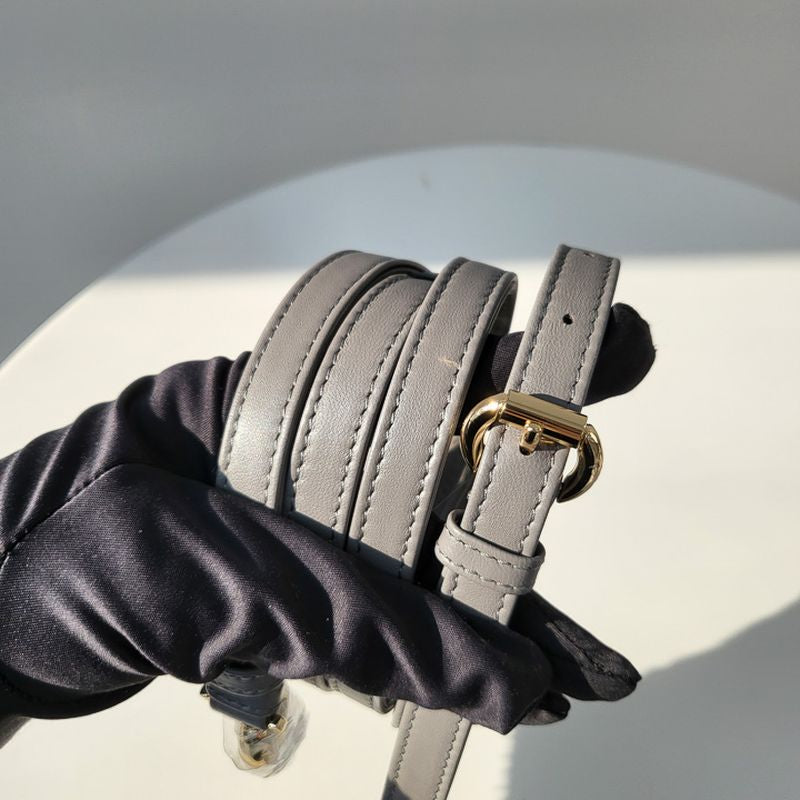 디올 레이디백 미니