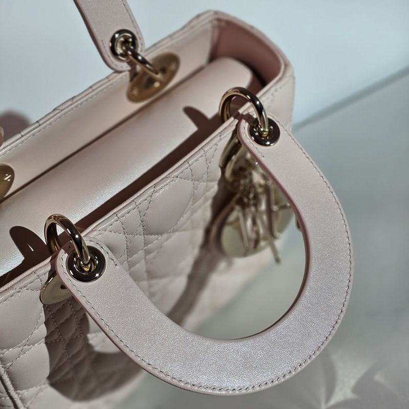 디올 레이디백 스몰