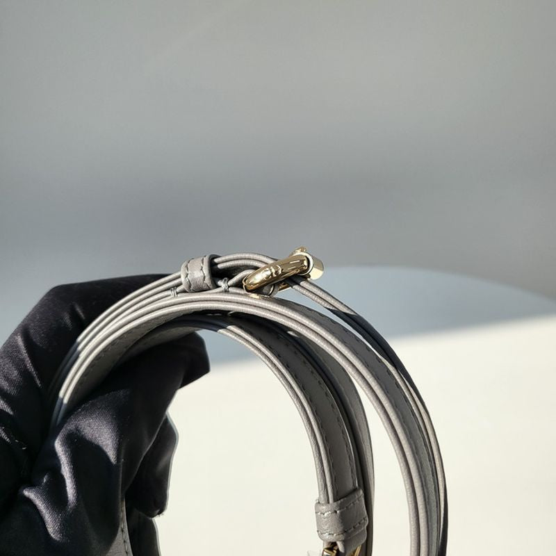 디올 레이디백 미니