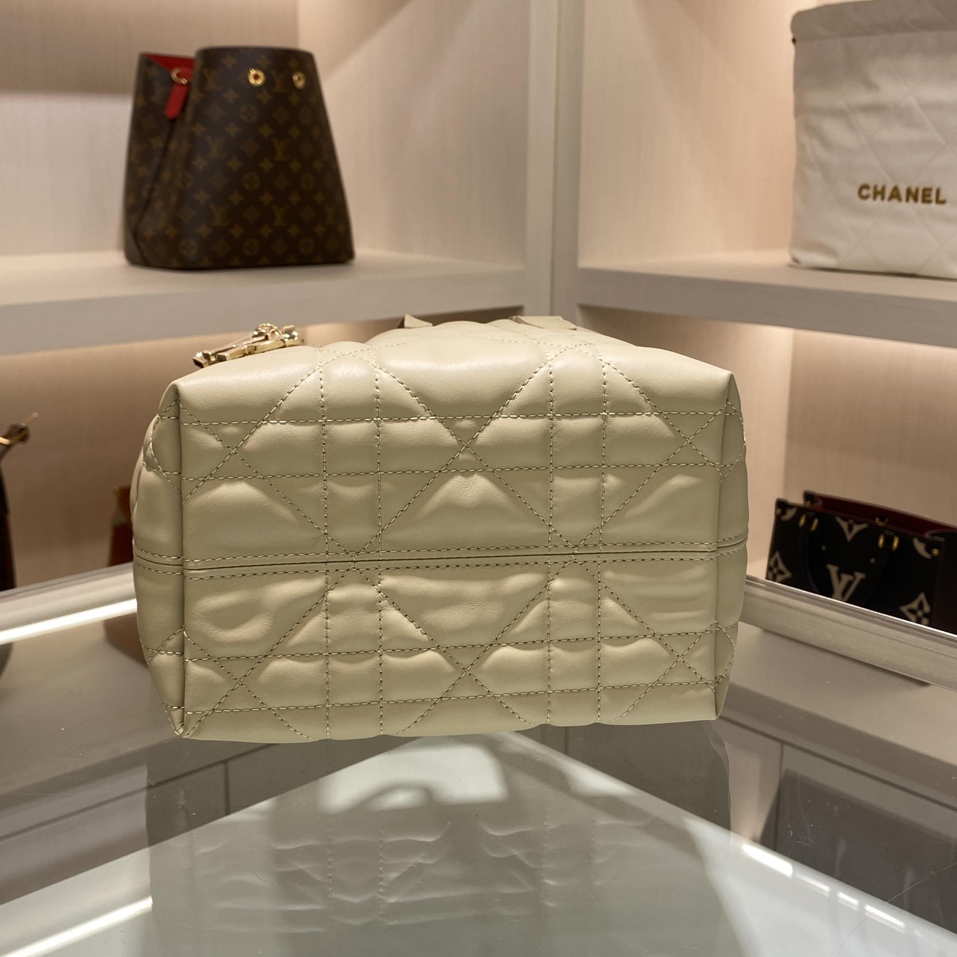 디올 버티컬 뚜주흐백 스몰,미디움