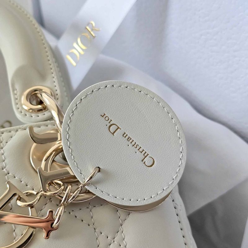 디올 레이디백 스몰