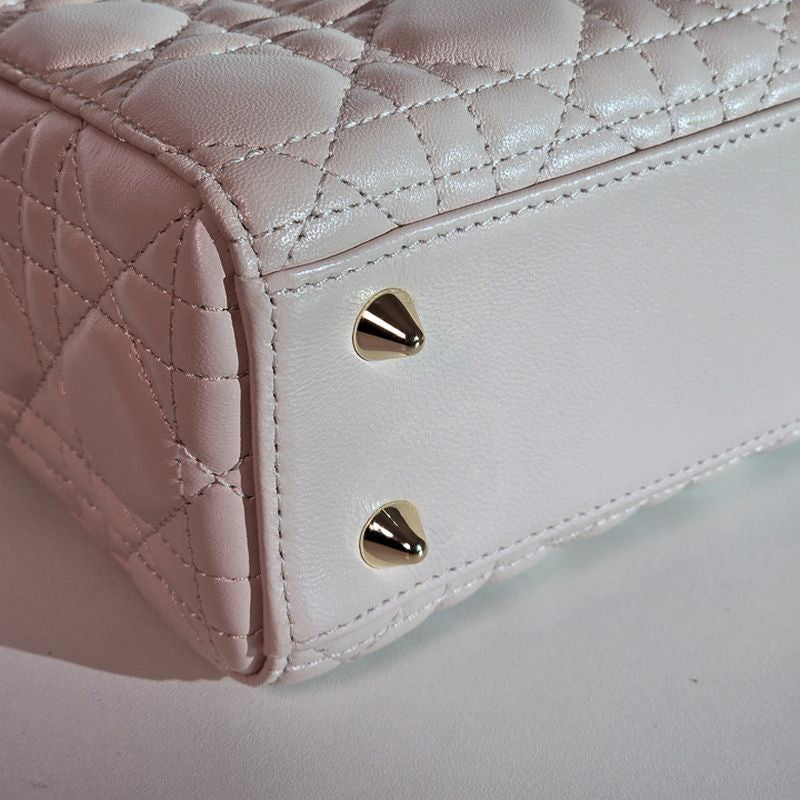 디올 레이디백 스몰