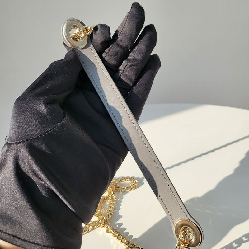 디올 레이디백 미니