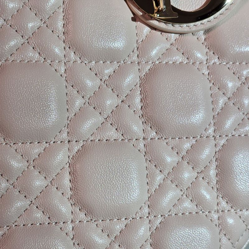 디올 레이디백 스몰