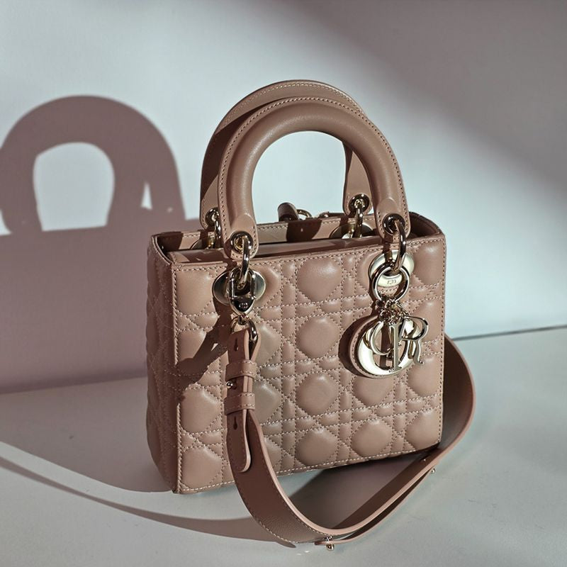 디올 레이디백 스몰