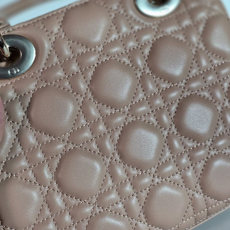 디올 레이디백 스몰