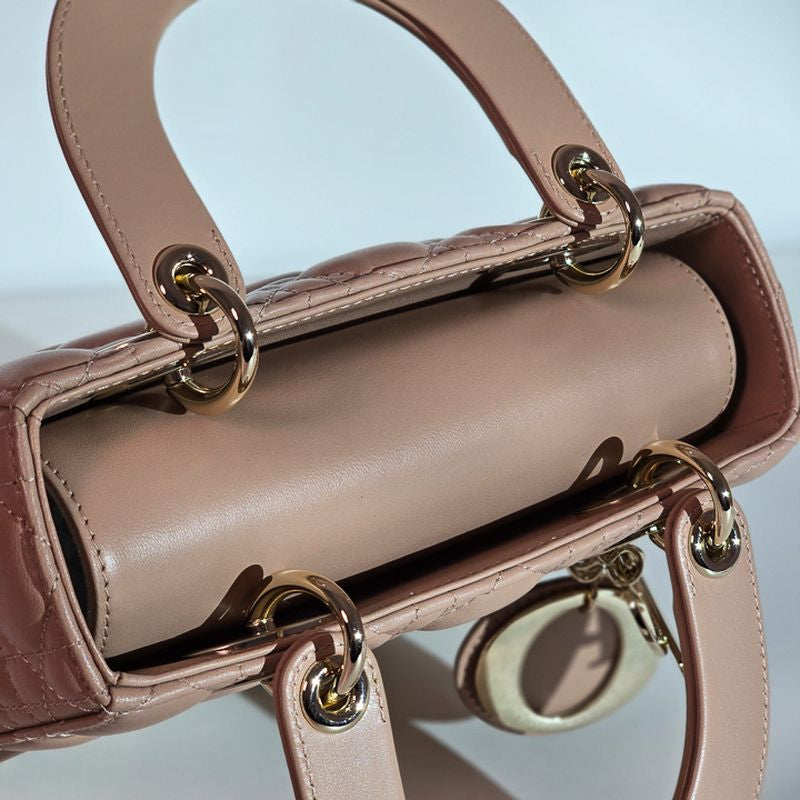 디올 레이디백 스몰