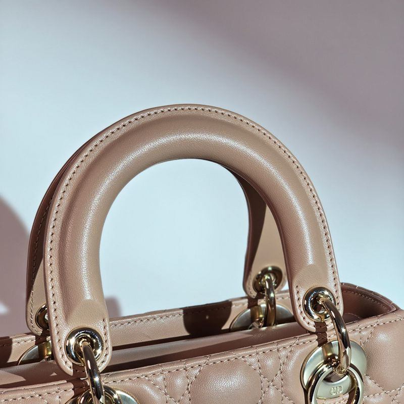 디올 레이디백 스몰