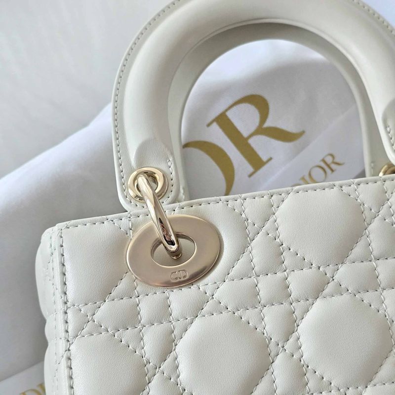 디올 레이디백 스몰