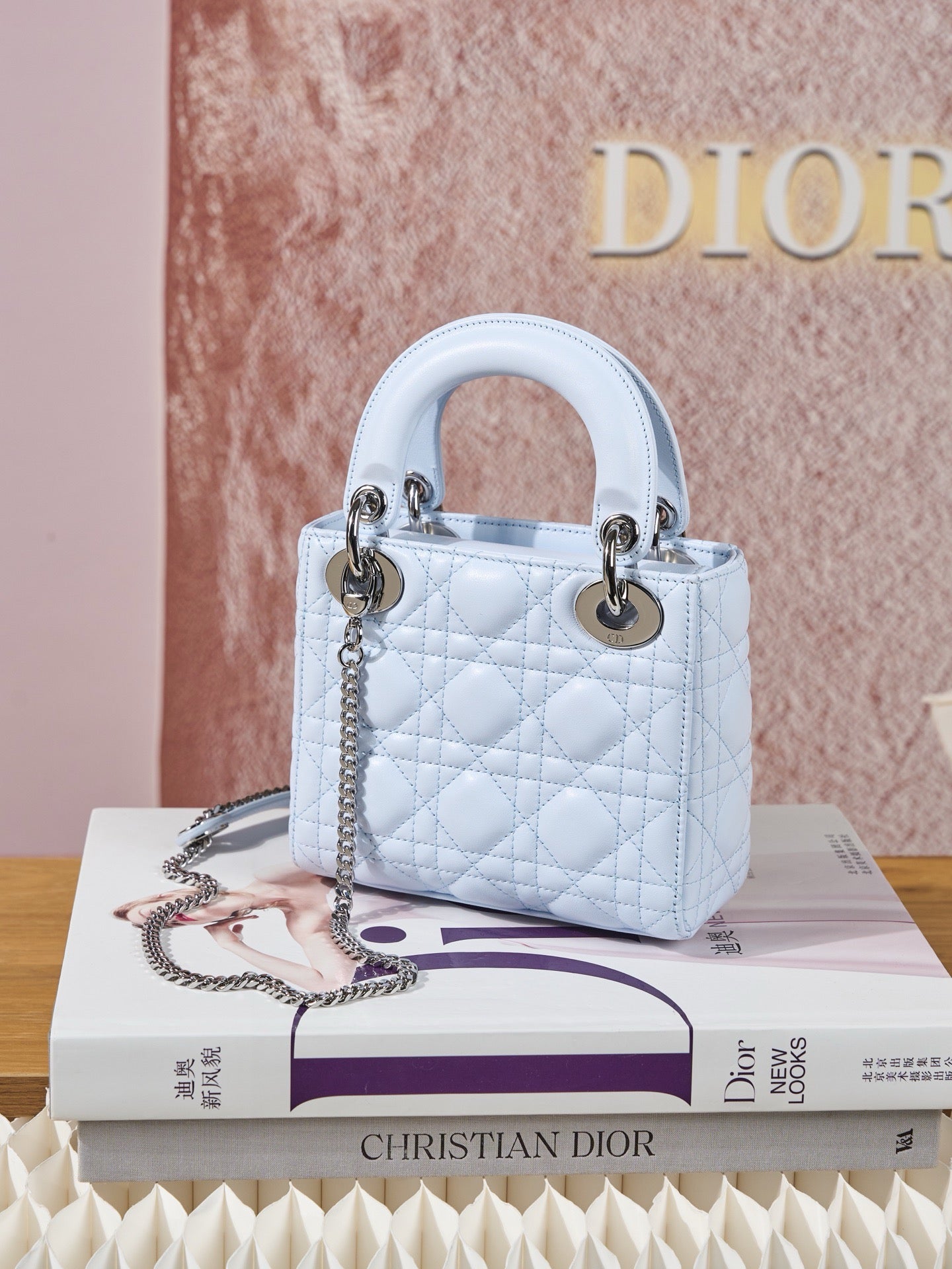 디올 레이디백 미니