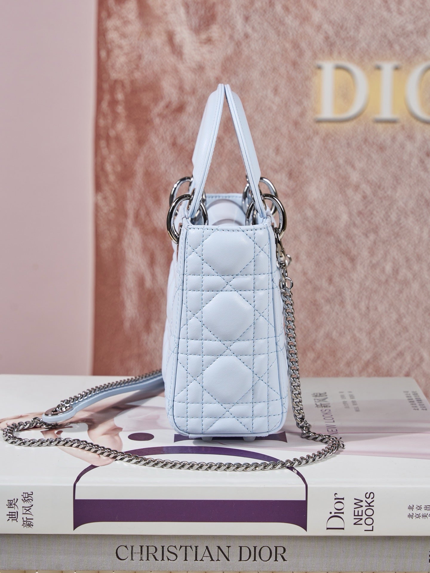 디올 레이디백 미니