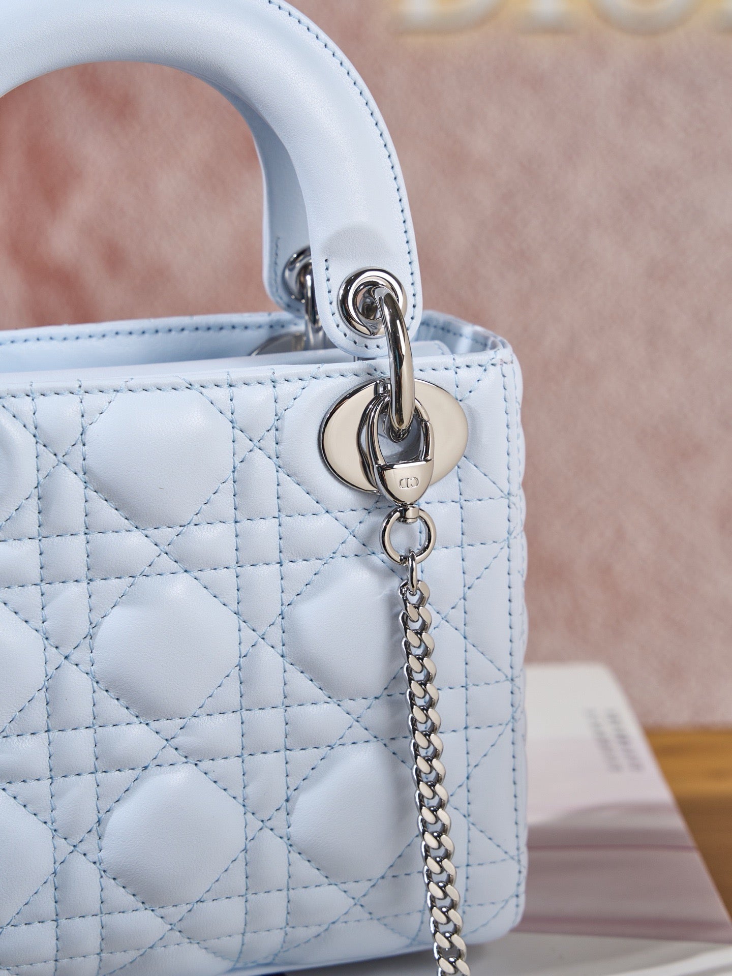 디올 레이디백 미니