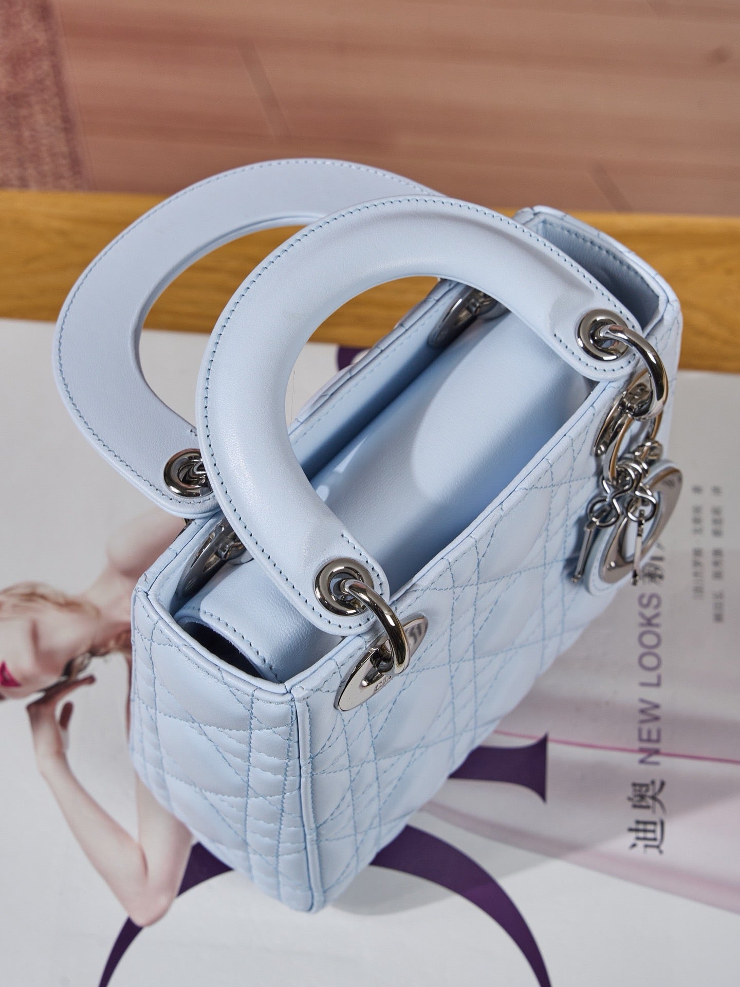 디올 레이디백 미니