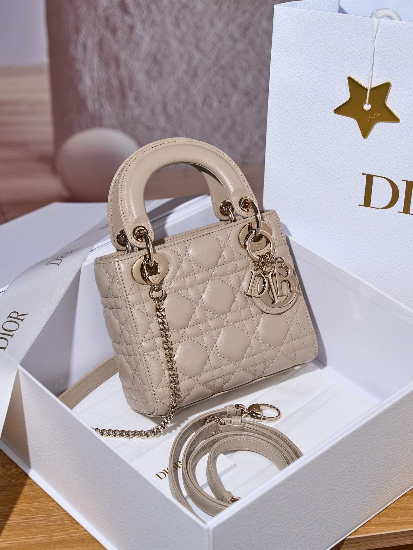 디올 레이디백 미니