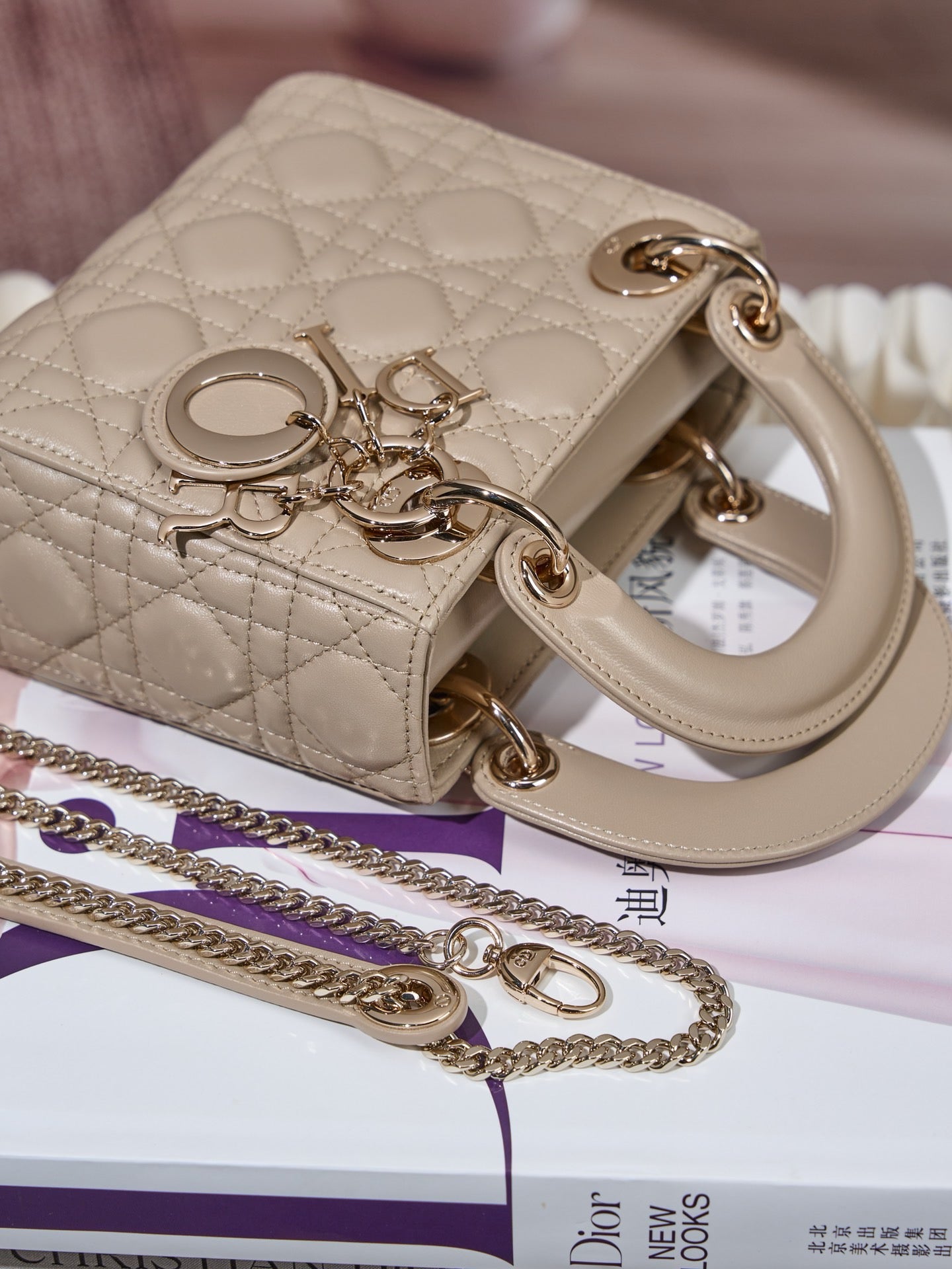 디올 레이디백 미니