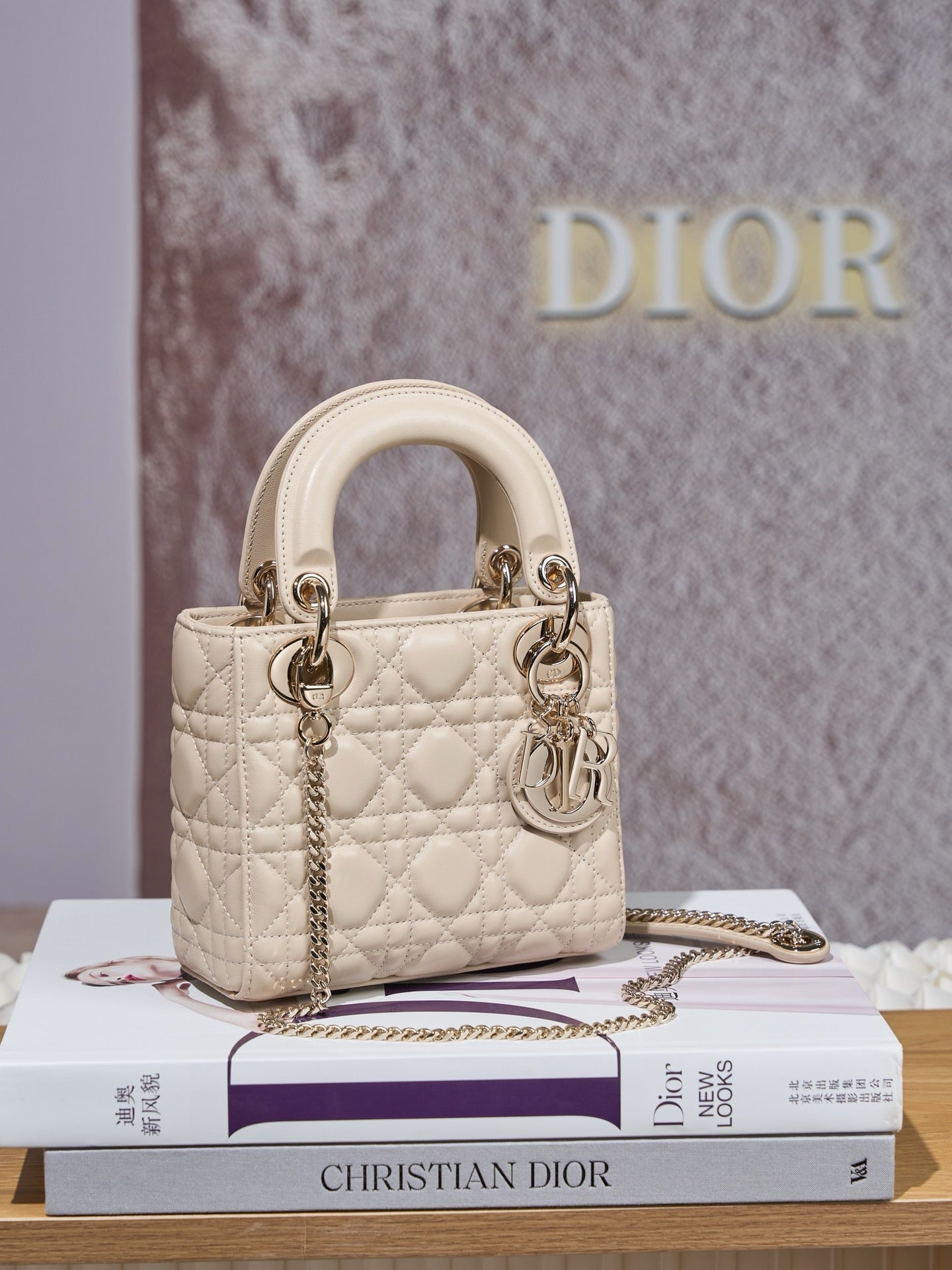 디올 레이디백 미니