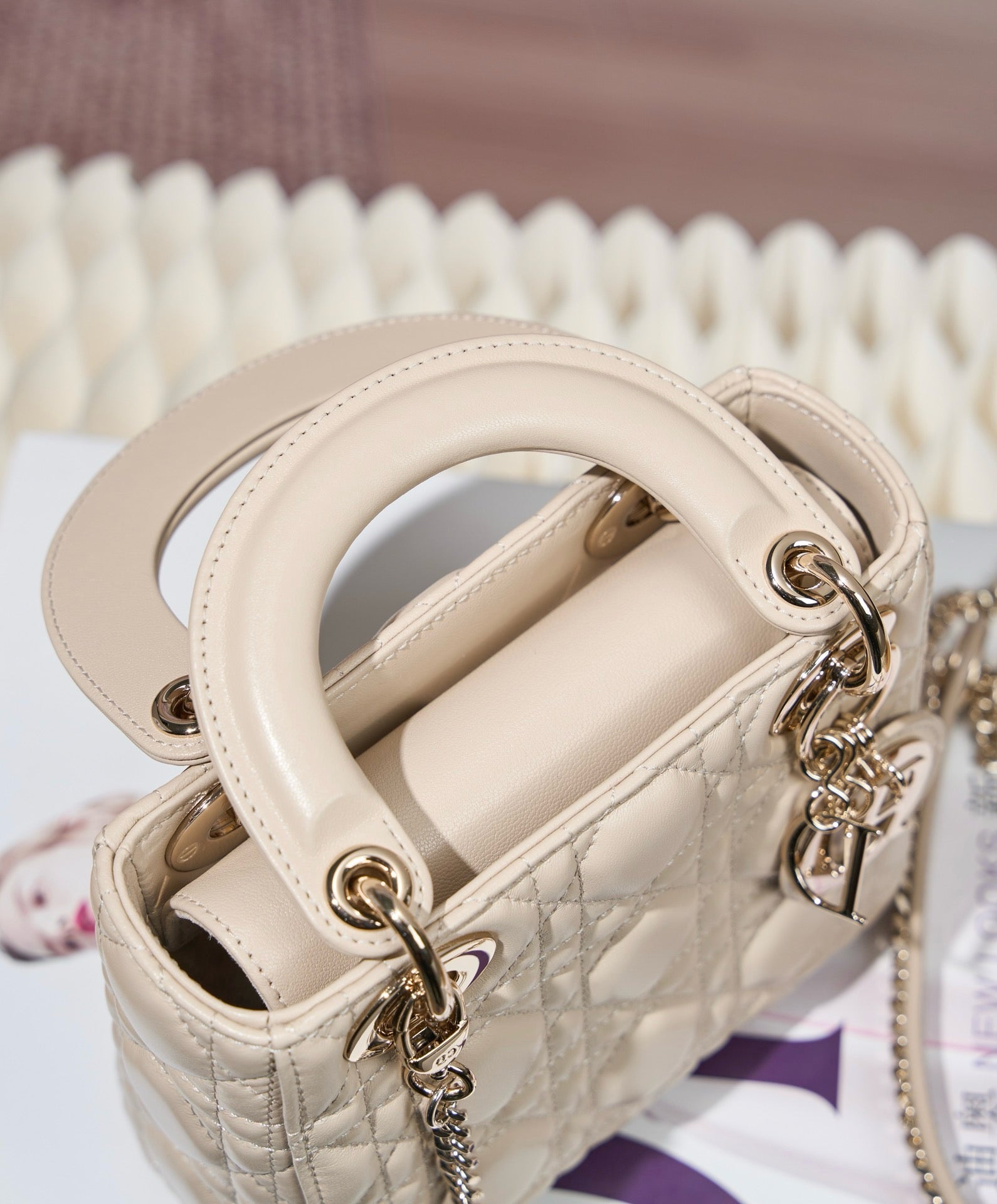 디올 레이디백 미니