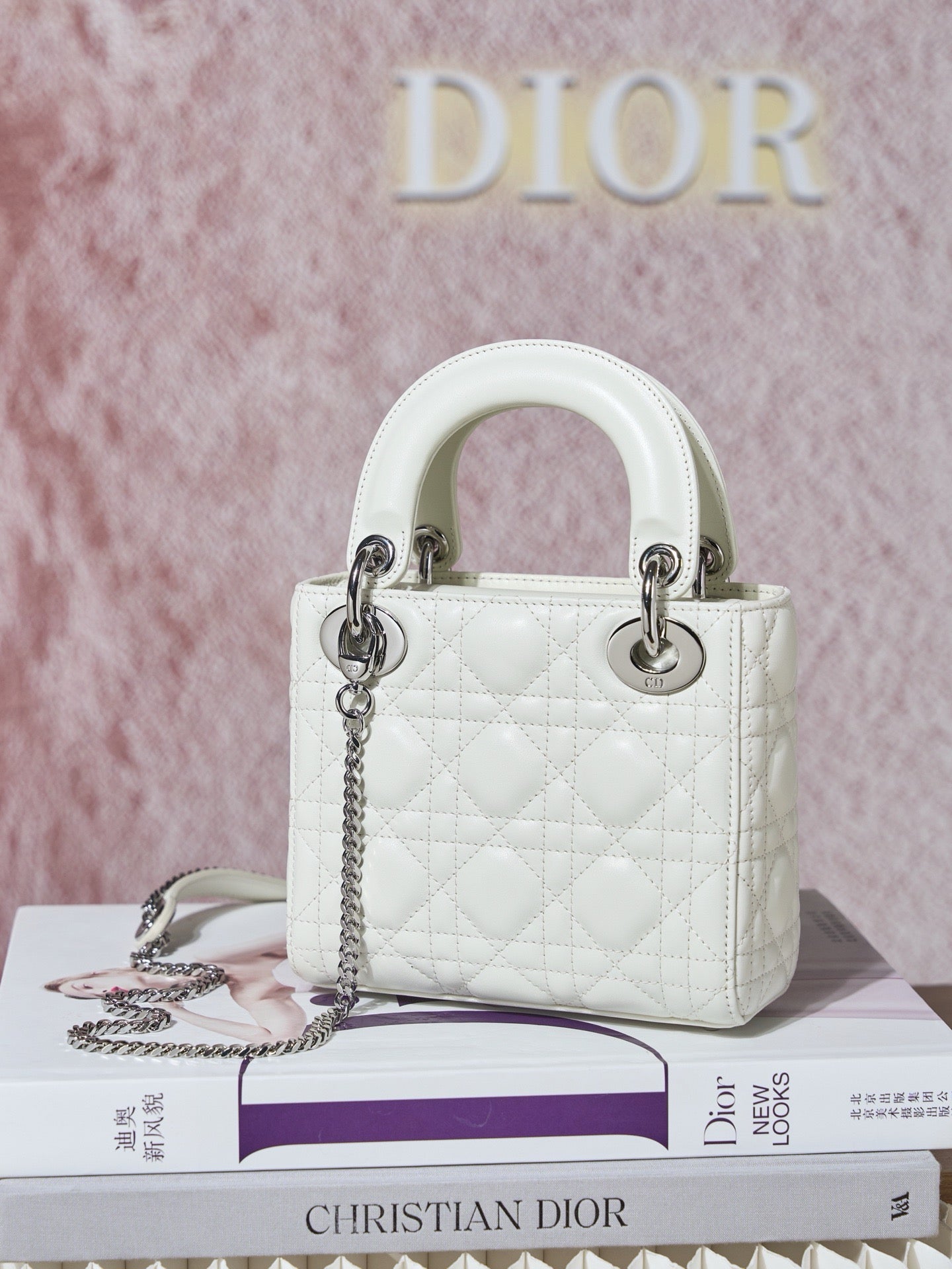 디올 레이디백 미니