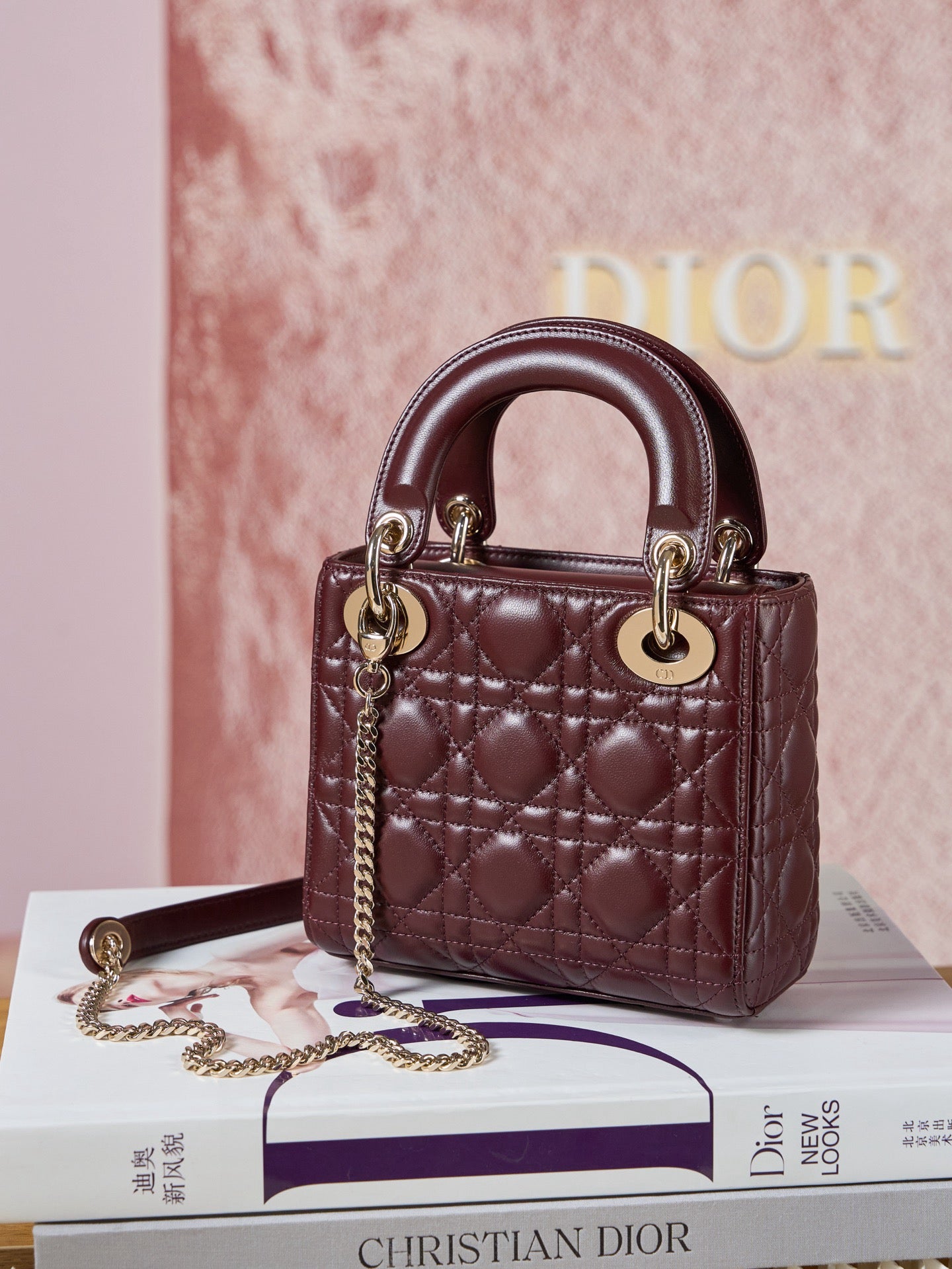 디올 레이디백 미니