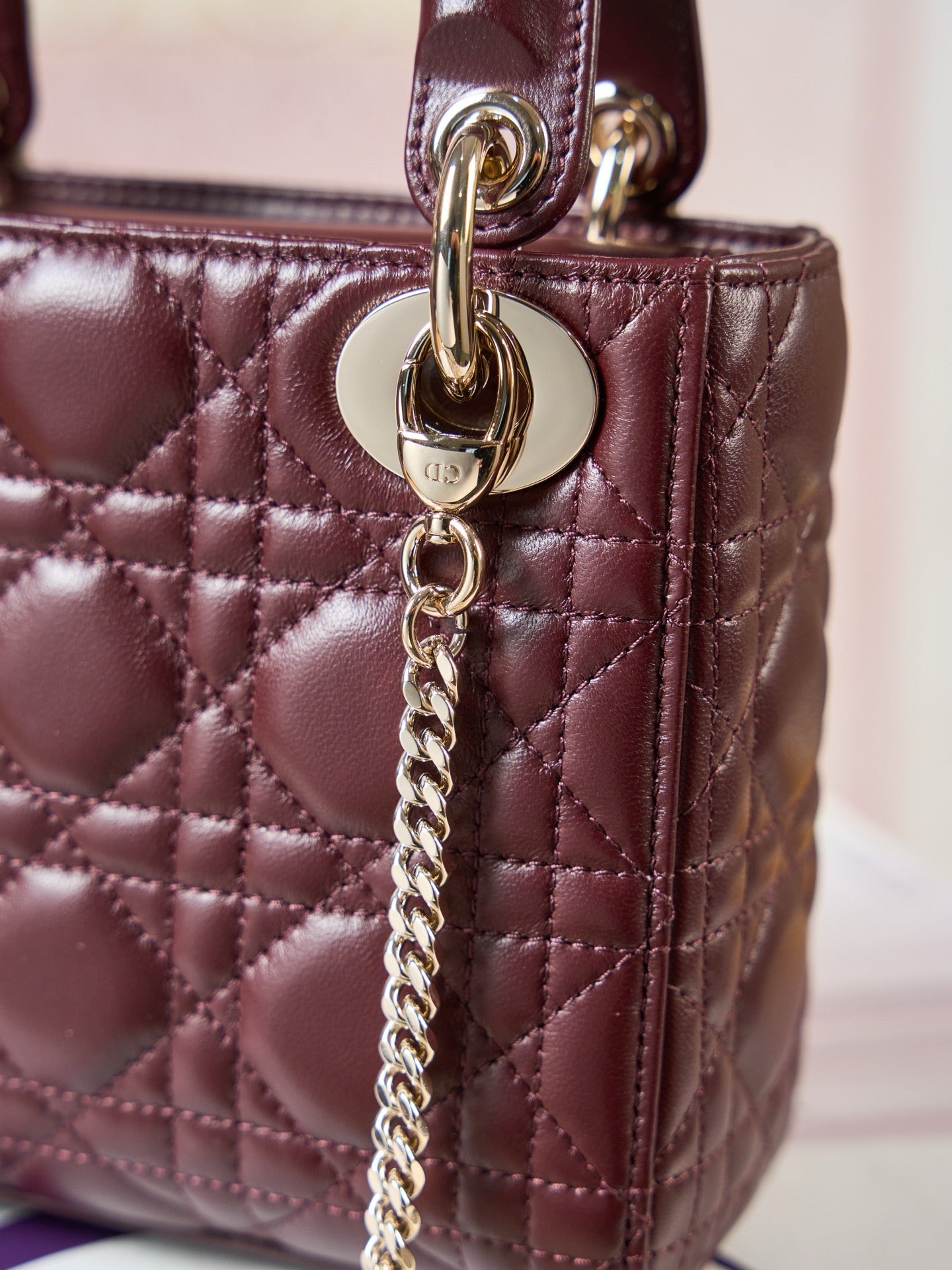 디올 레이디백 미니