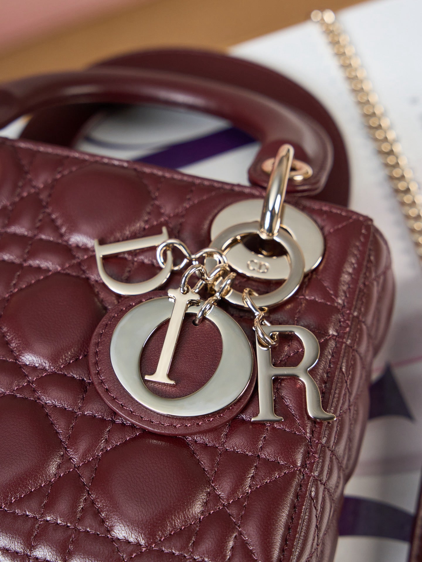 디올 레이디백 미니