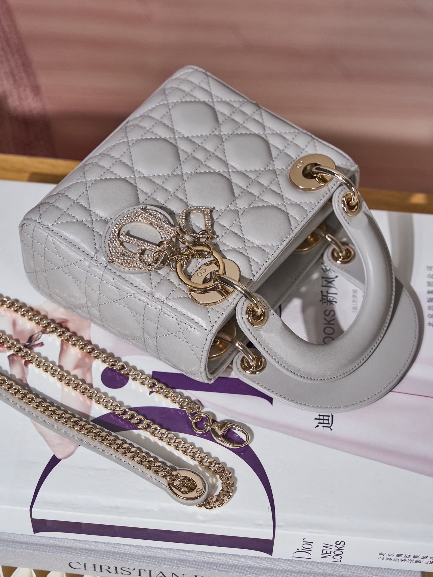 디올 레이디백 미니