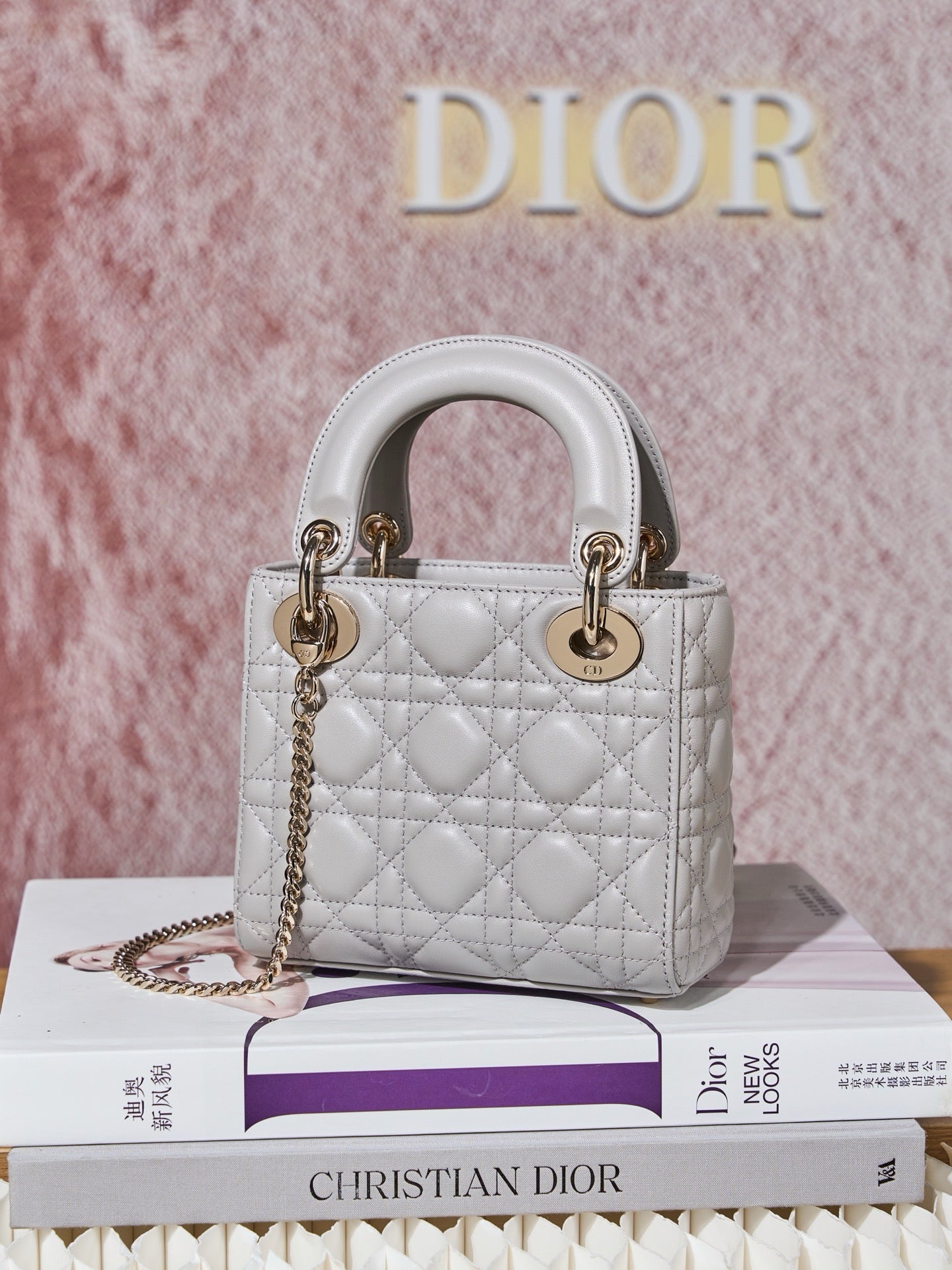 디올 레이디백 미니