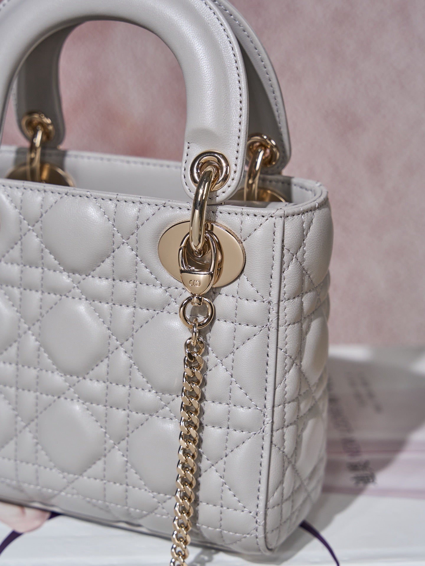 디올 레이디백 미니