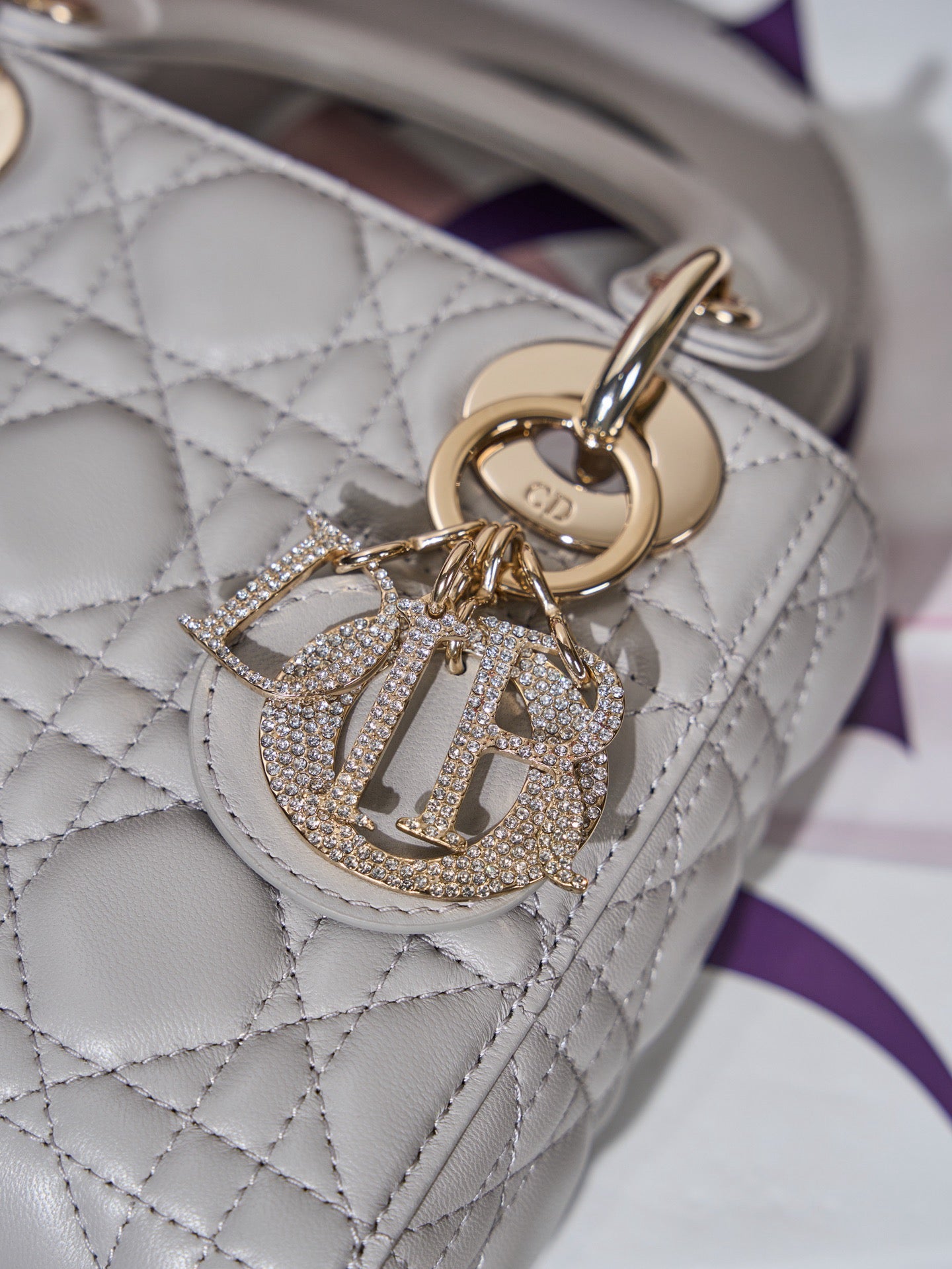 디올 레이디백 미니