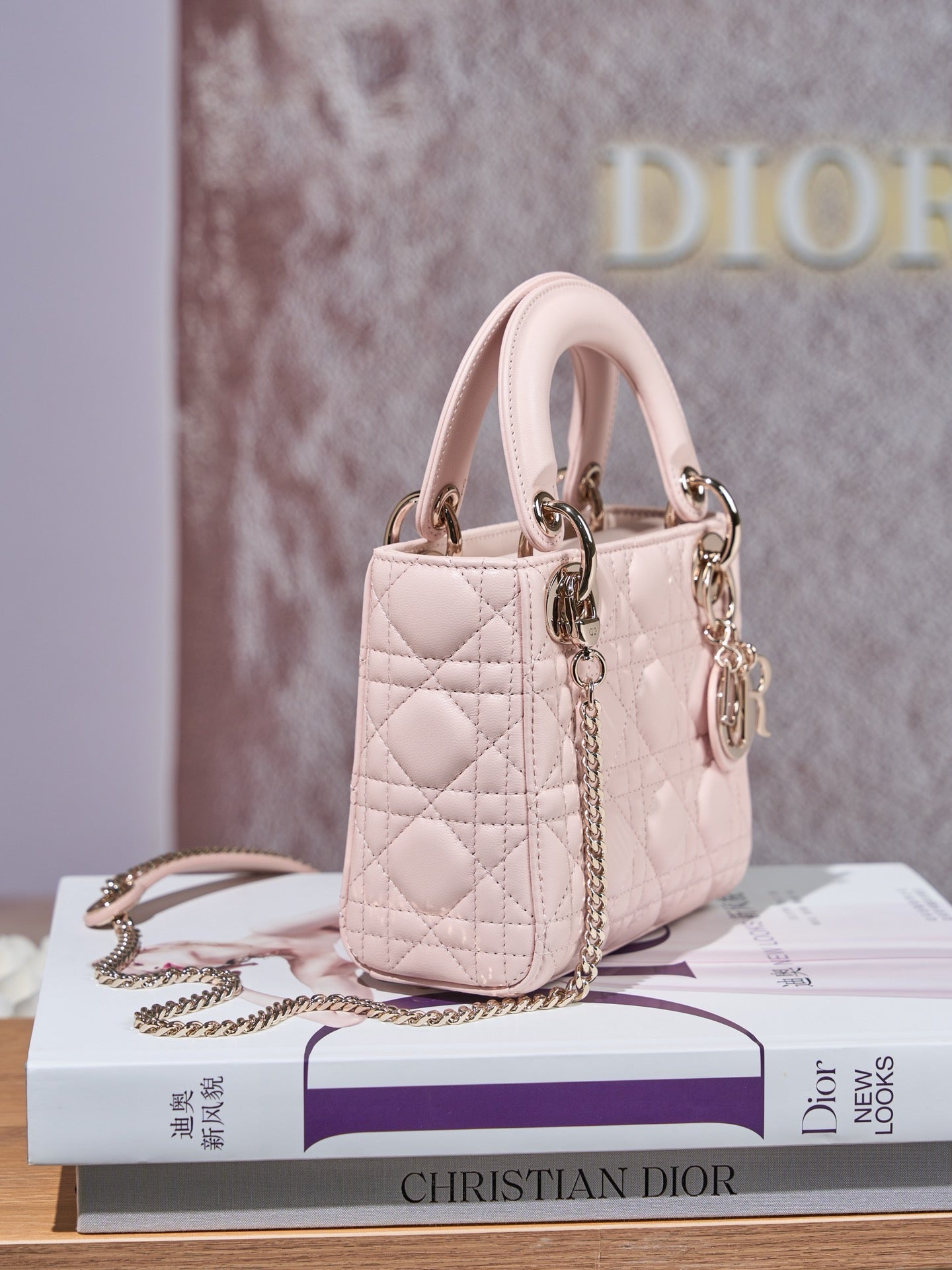 디올 레이디백 미니