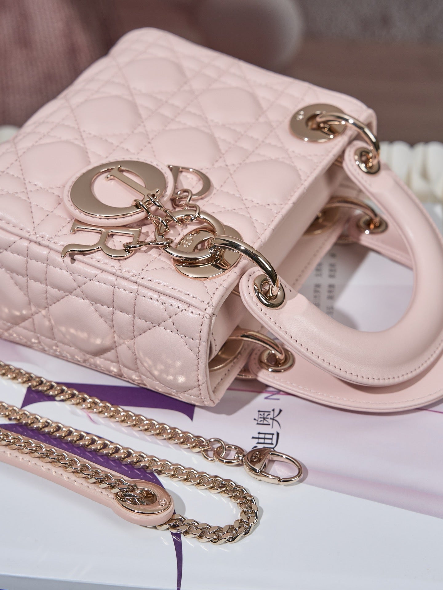 디올 레이디백 미니