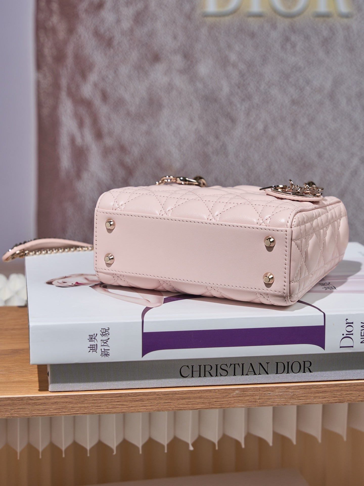 디올 레이디백 미니