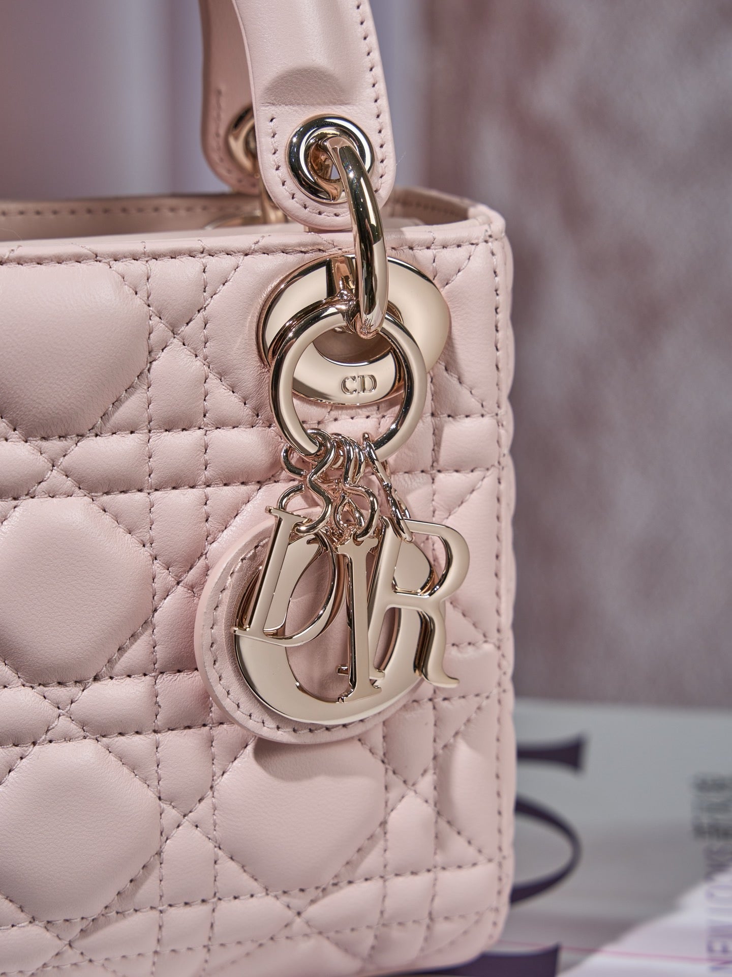 디올 레이디백 미니