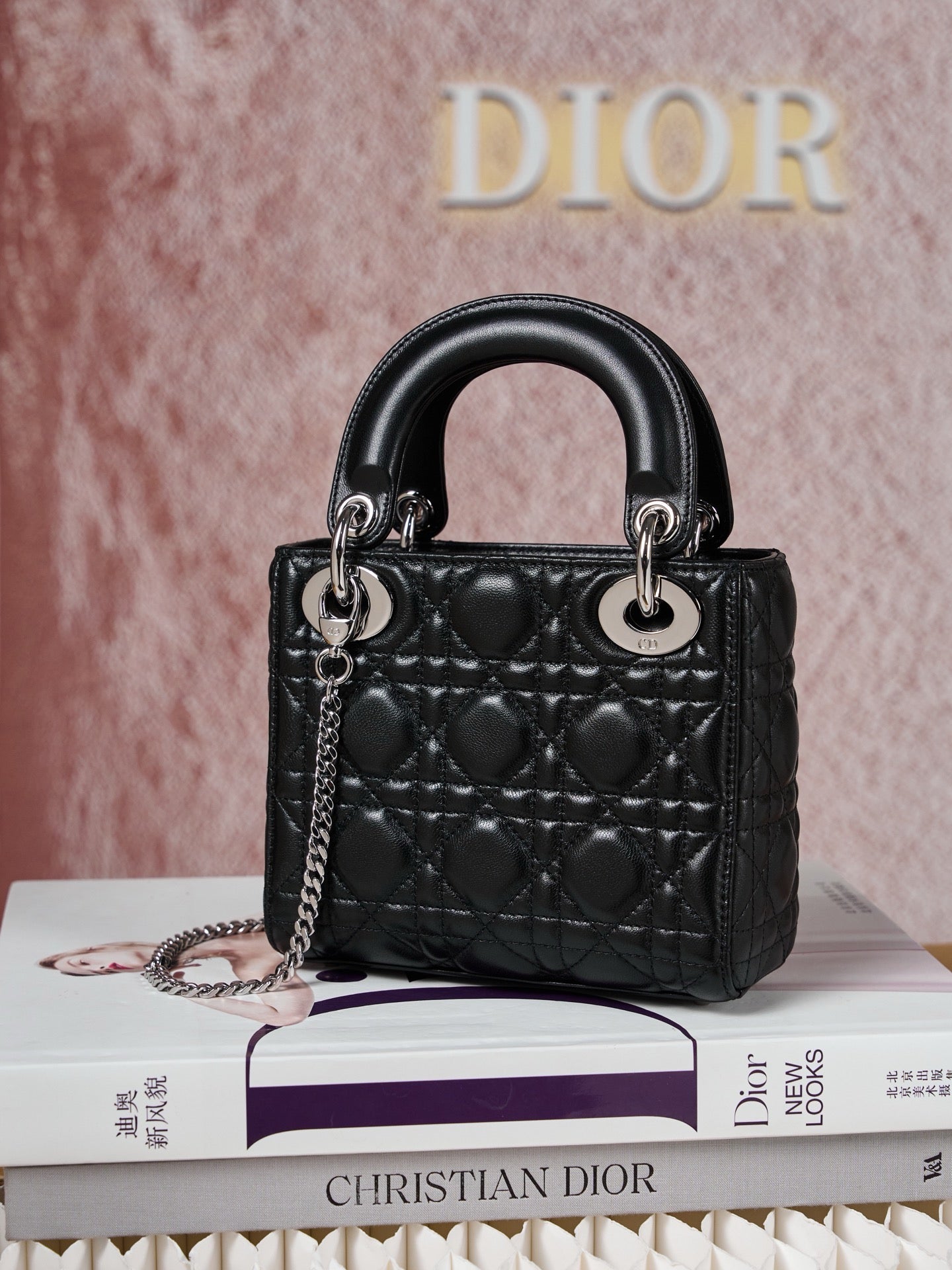 디올 레이디백 미니