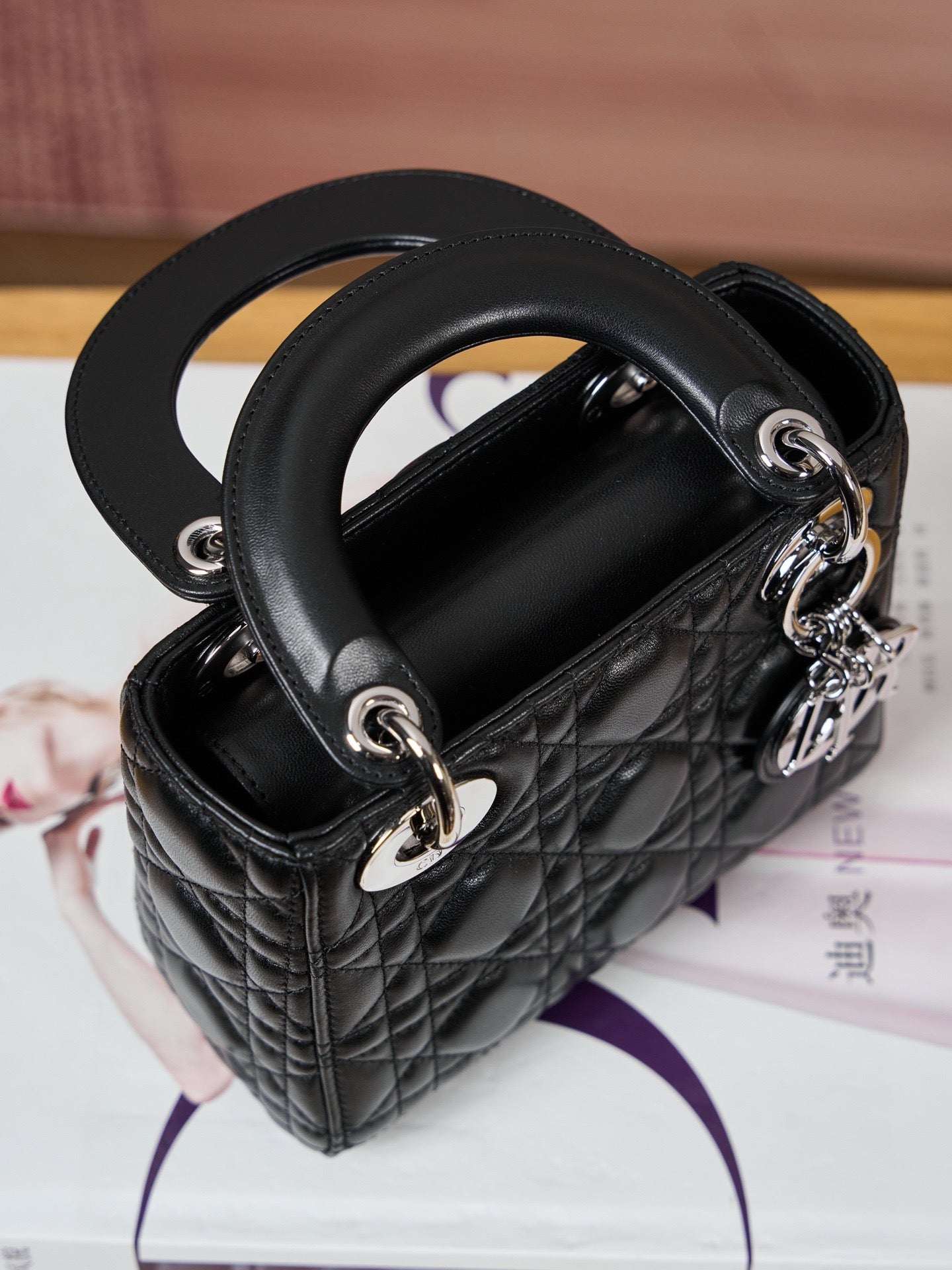 디올 레이디백 미니