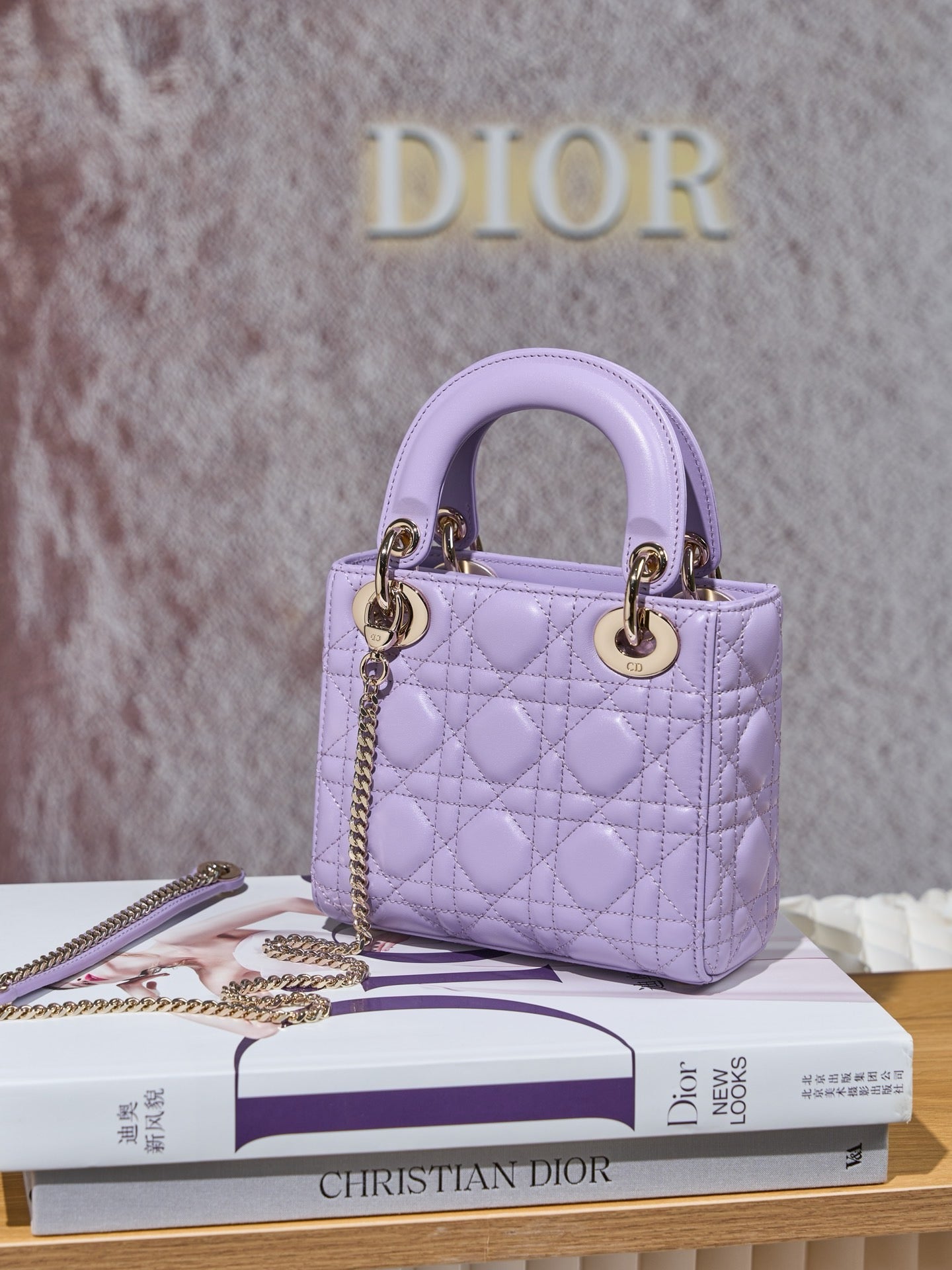 디올 레이디백 미니