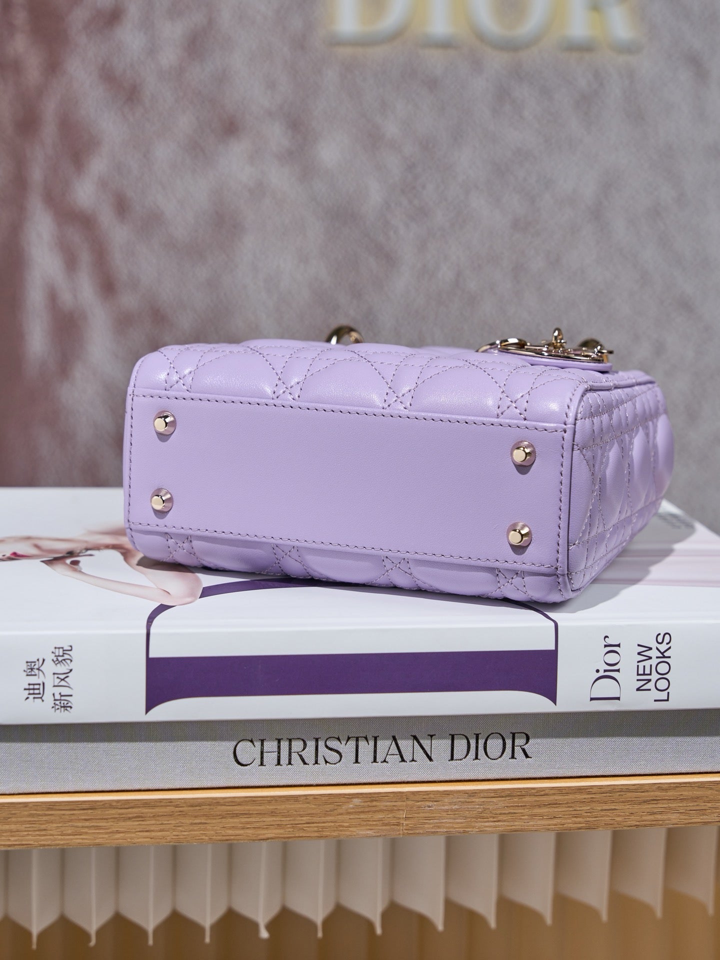 디올 레이디백 미니