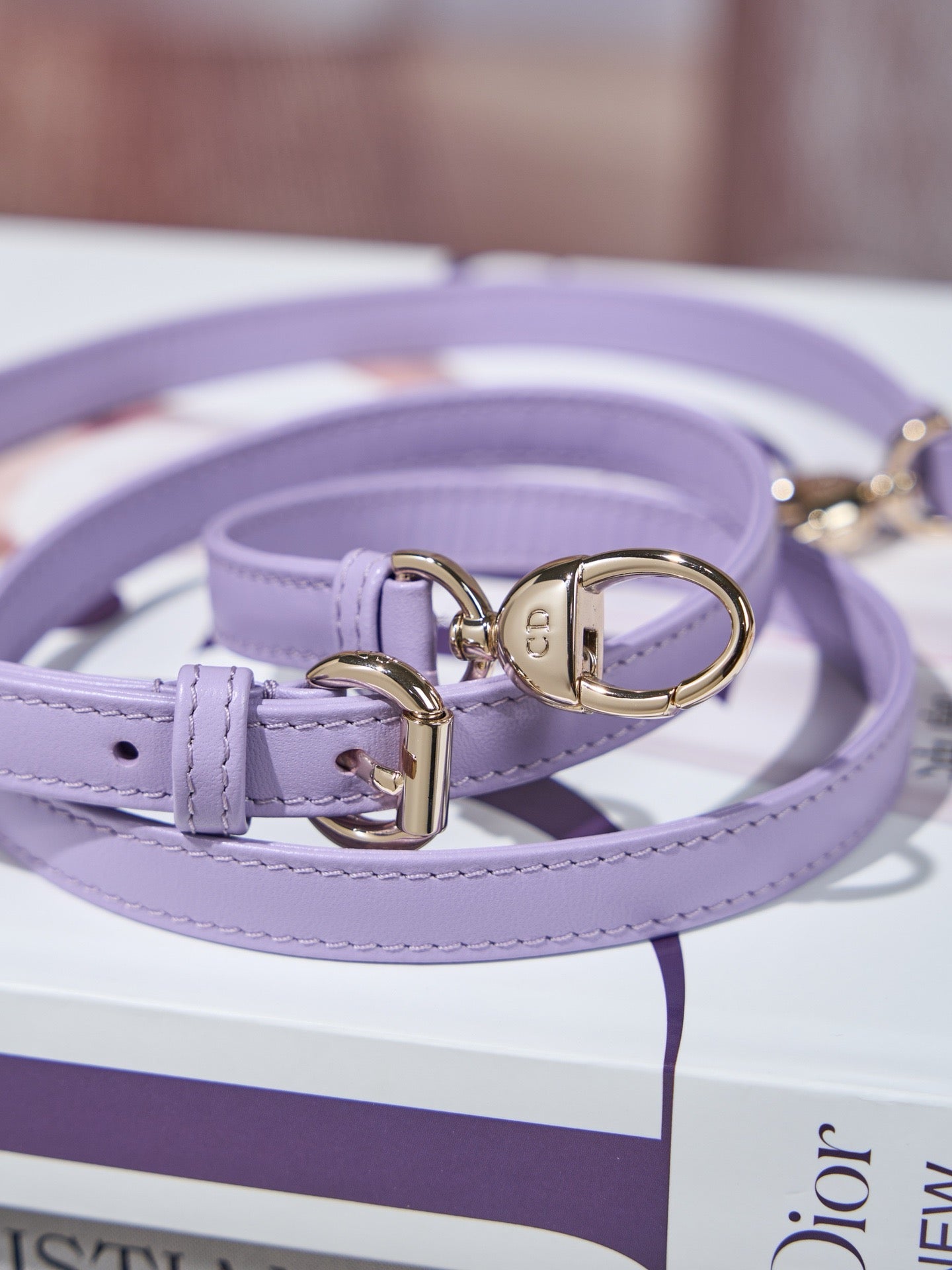 디올 레이디백 미니