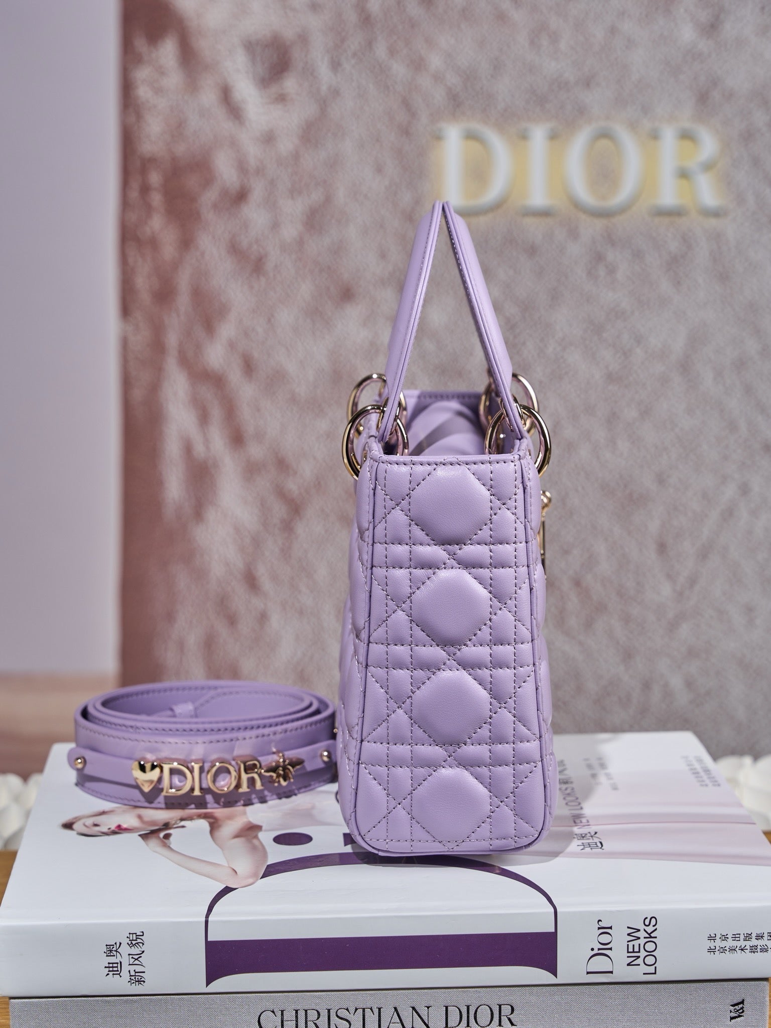 디올 레이디백 스몰