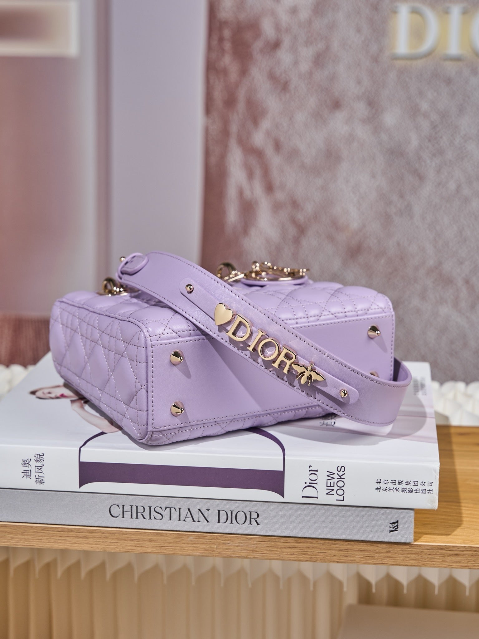 디올 레이디백 스몰