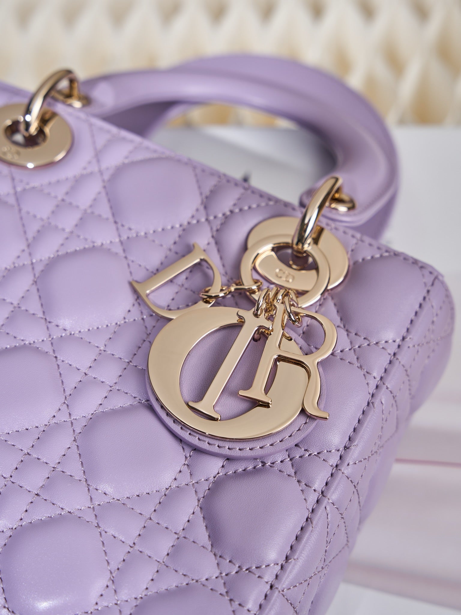 디올 레이디백 스몰