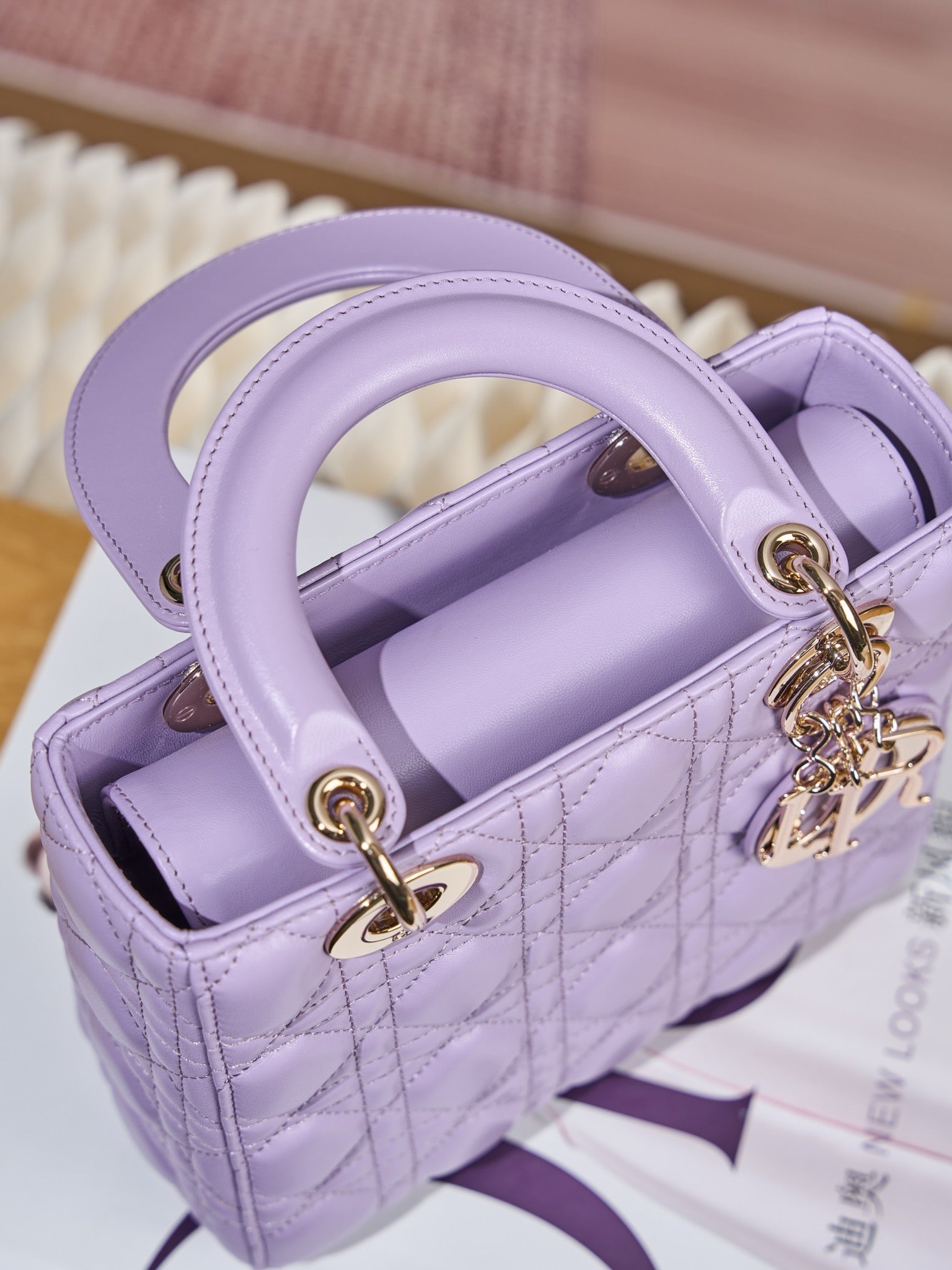 디올 레이디백 스몰